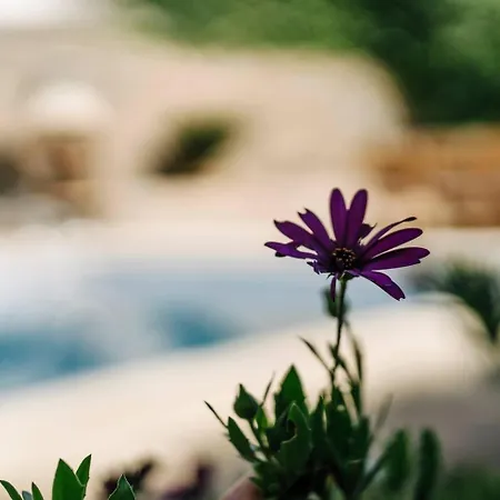 Casa Camila Valldemossa (Mallorca)